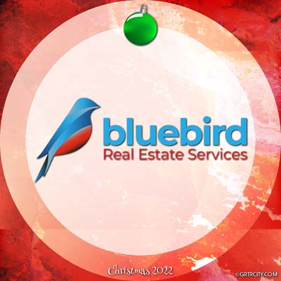 	BLUEBIRD REAL ESTATE SERVICES	